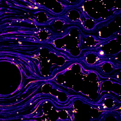 flux expérimental