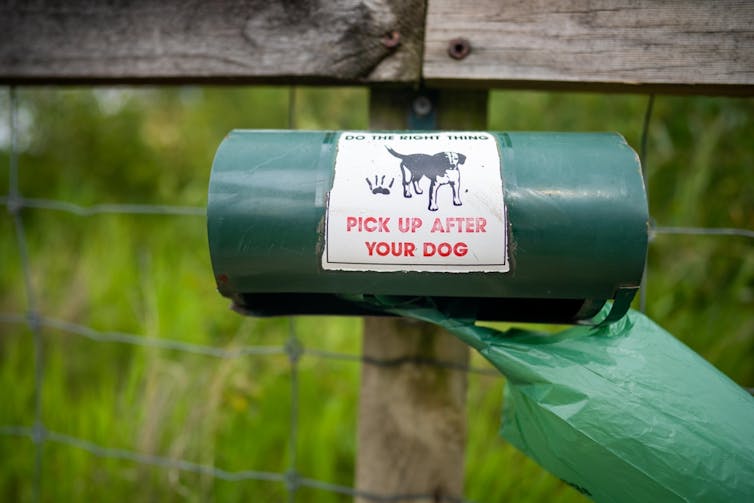 Bags for cleaning up after dogs in a park