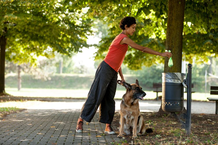 Dog owner cleaning up after pet