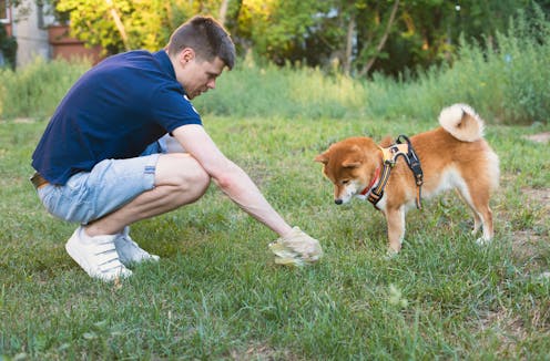 Is leaving dog poo in the street really so bad? The science says it’s even worse than you think