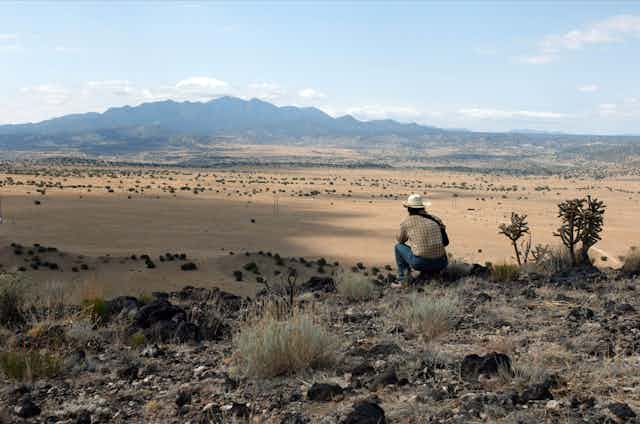 A man in a cowboy hat staring out at a vast empty desert landscape with mountains in the distance.