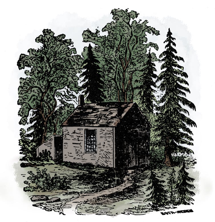 Drawing of a wooden cabin set in a clearing among tall trees