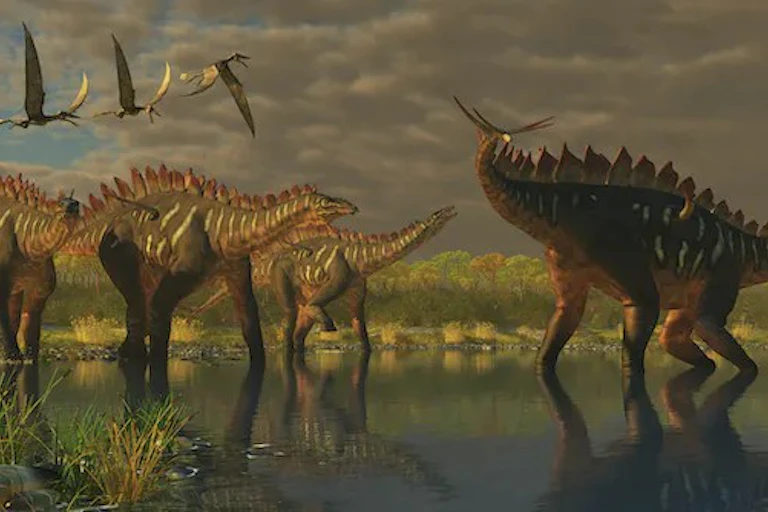 burung di masa dinosaurus