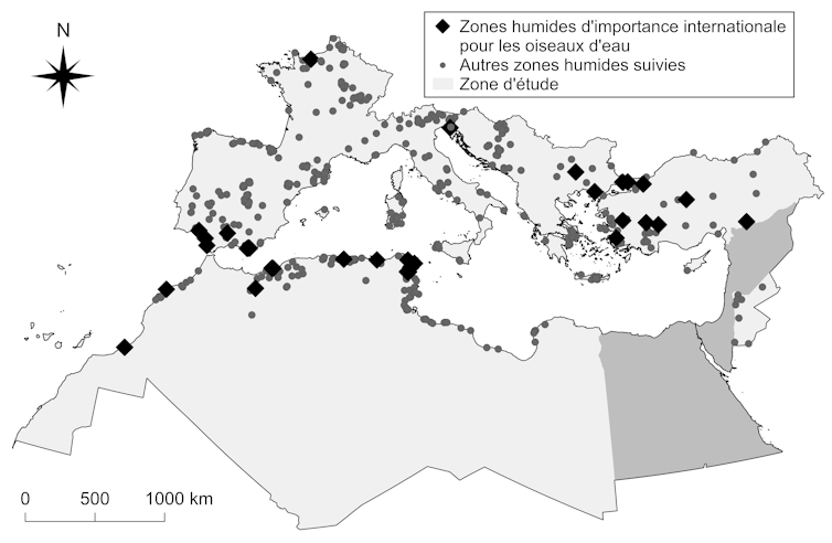 Carte du pourtour méditerranée, avec beaucoup de zones humides indiquées