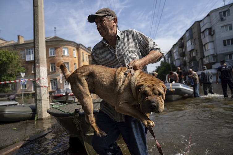 A man carries a dog through knee-deep water in a town.