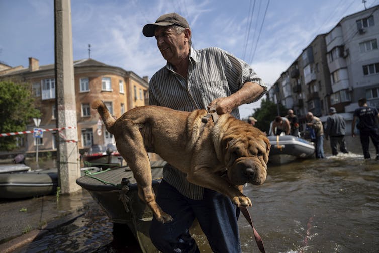 A man carries a dog through knee-deep water in a town.