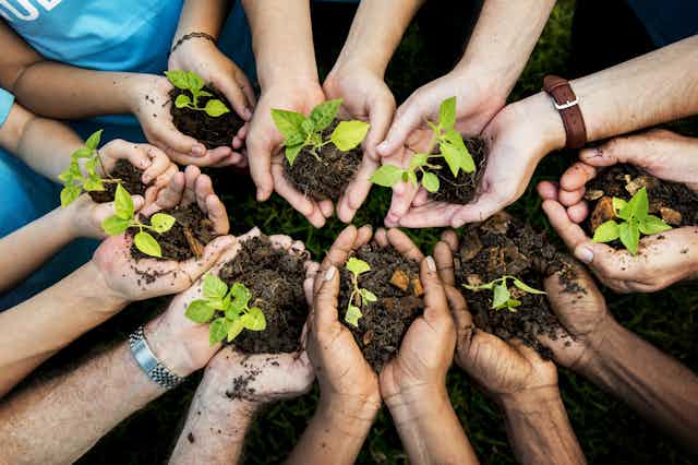 A group of people coming together with seedlings in their cupped palms