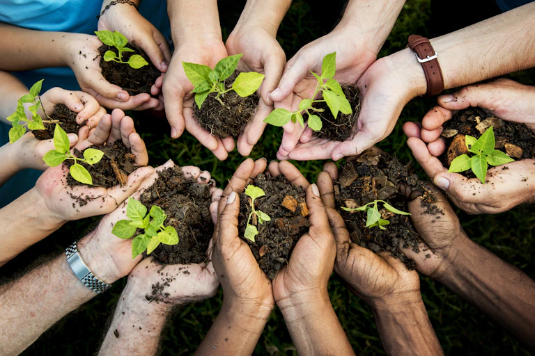 A group of people coming together with seedlings in their cupped palms