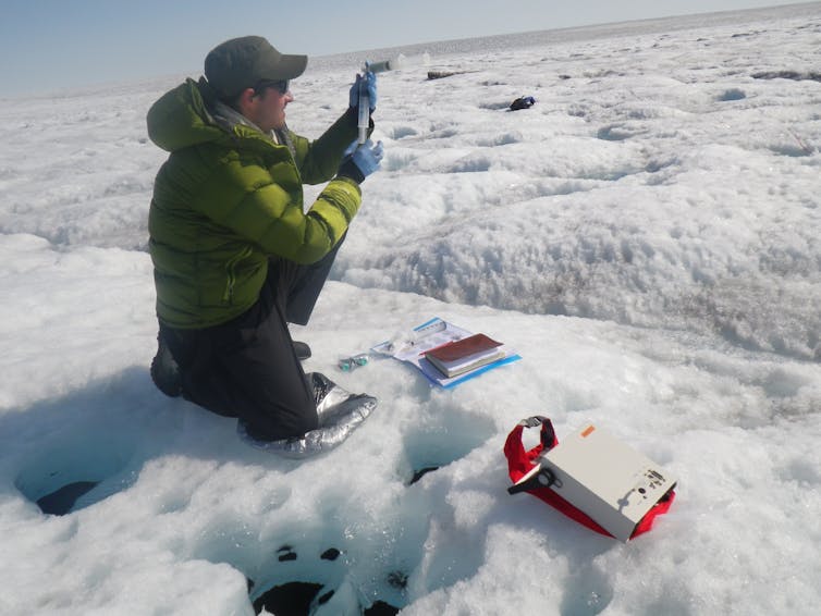 Crouching scientist takes samples in the Arctic snow.