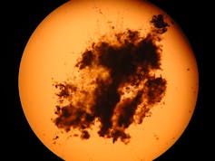 Microscope image of a single cryoconite granule.