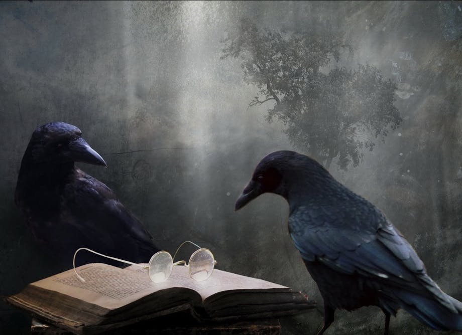Предсказание от черного ворона пессимиста 9 букв. Мистические вороны. Мистический ворон. Ворон магия. Загадочная птица.