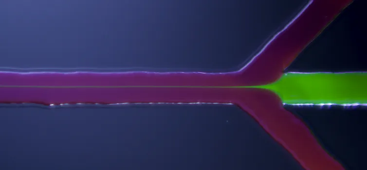 microscopie de flux à l’échelle micrométrique