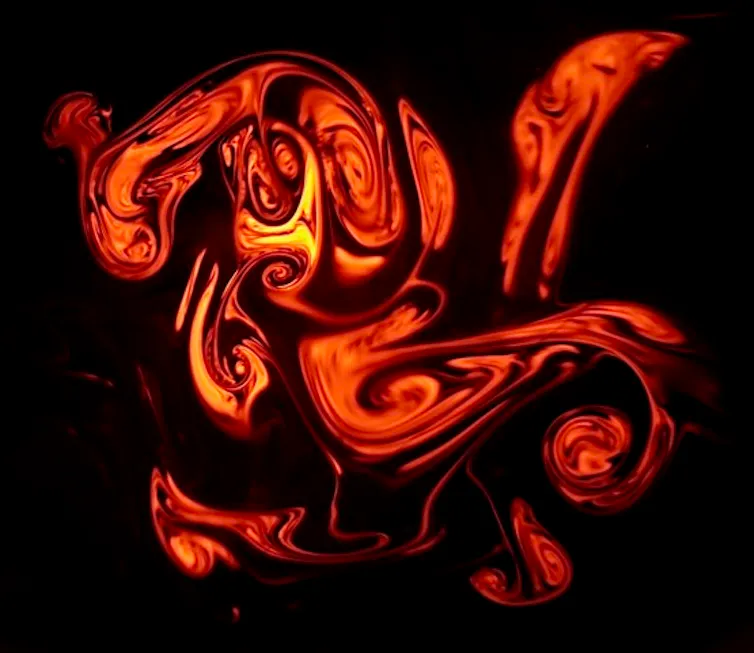 imagerie de fluorescente de volutes