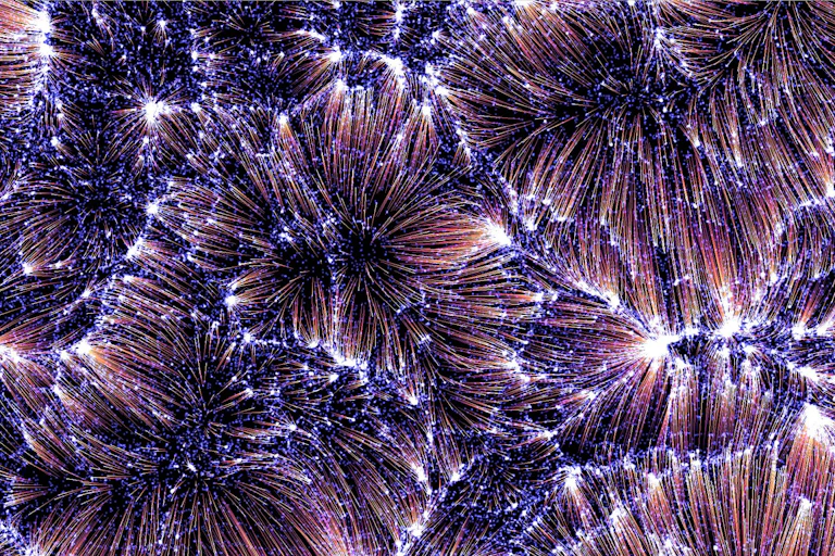image ressemblant à un feu d'artifice