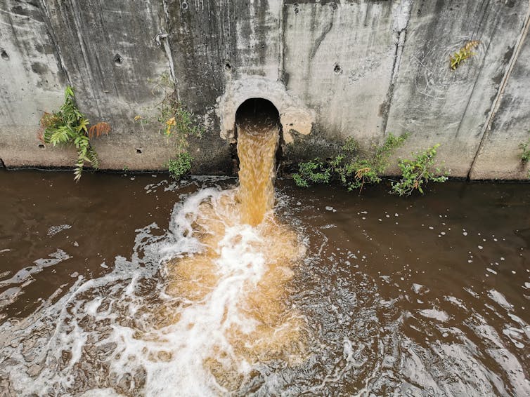 A pipe lodged in a concrete wall discharging brown water into a river.