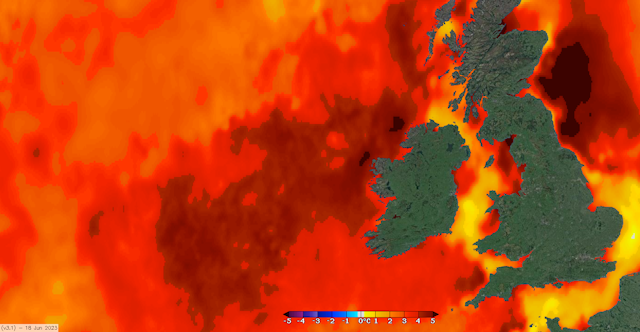 An 'extreme' heatwave has hit the seas around the UK and Ireland – here's  what's going on