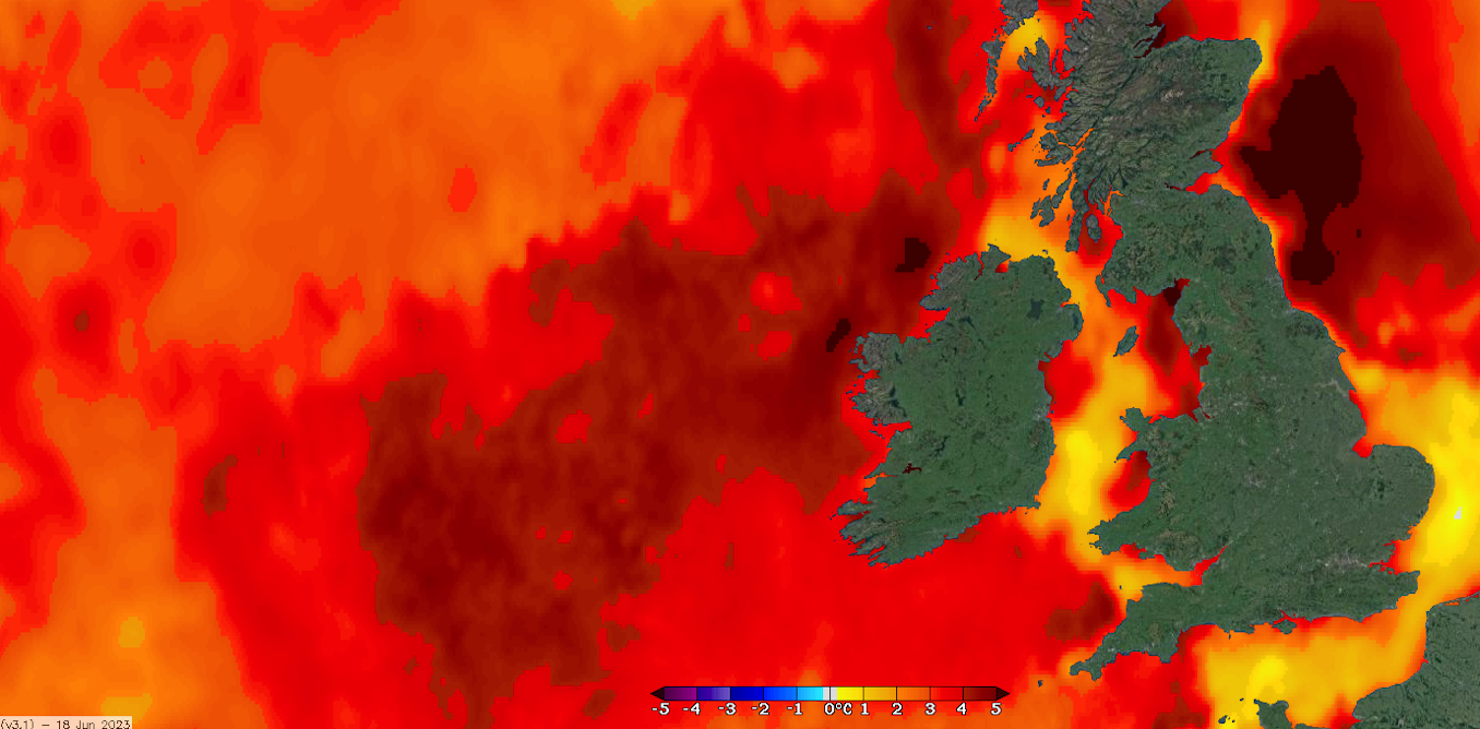 An 'extreme' heatwave has hit the seas around the UK and Ireland – here's  what's going on