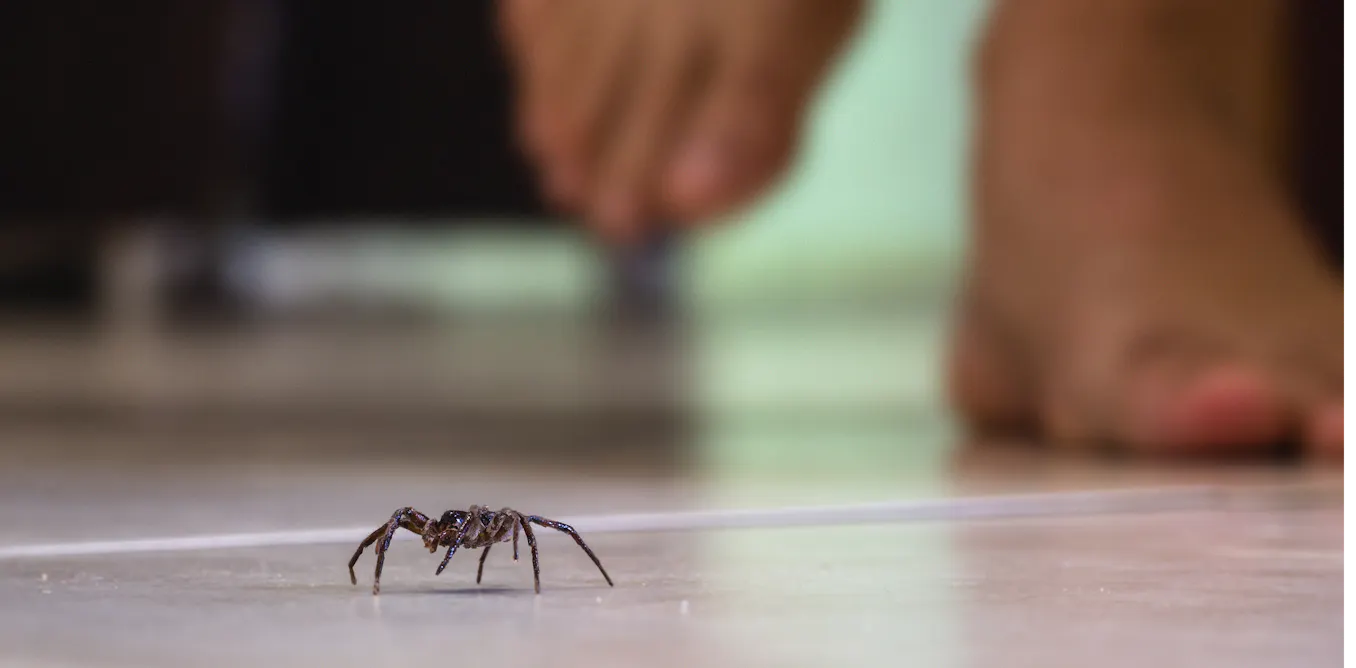 search trends reveal a growing fear of nature search trends reveal a growing fear of nature