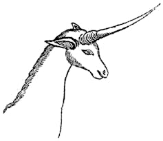 A black and white drawing of the head and neck of a horse-like creature with a mane and one long pointed horn.