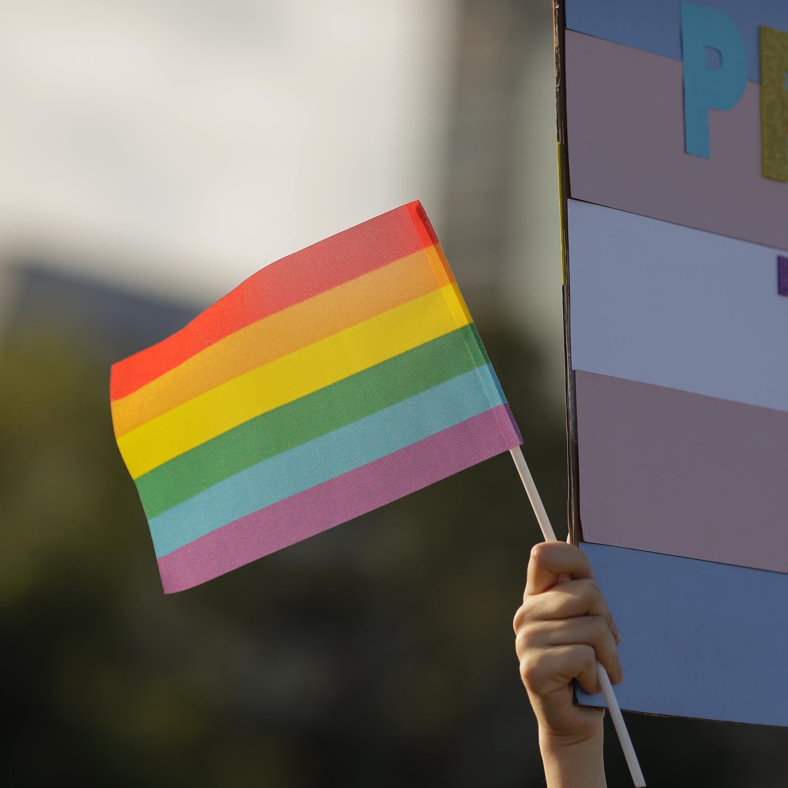 A Pride flag and Protect Trans Kids sign