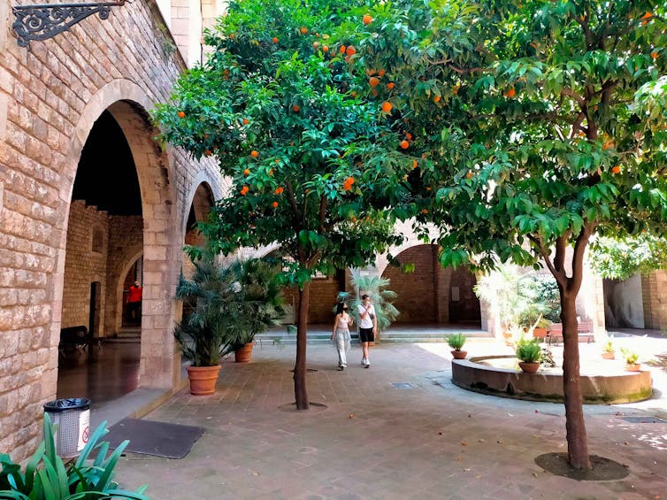 Patio de edificio antiguo con naranjos.