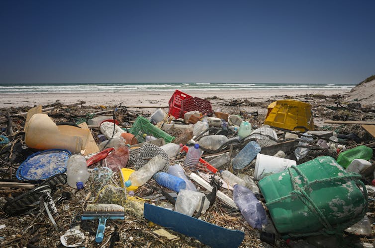 Beach covered in plastic litter