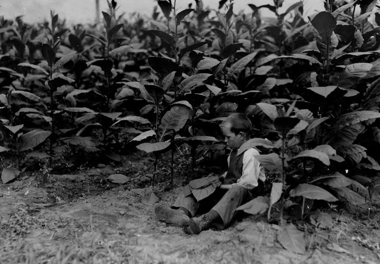 A young child at work in a field in an old black and white photo.