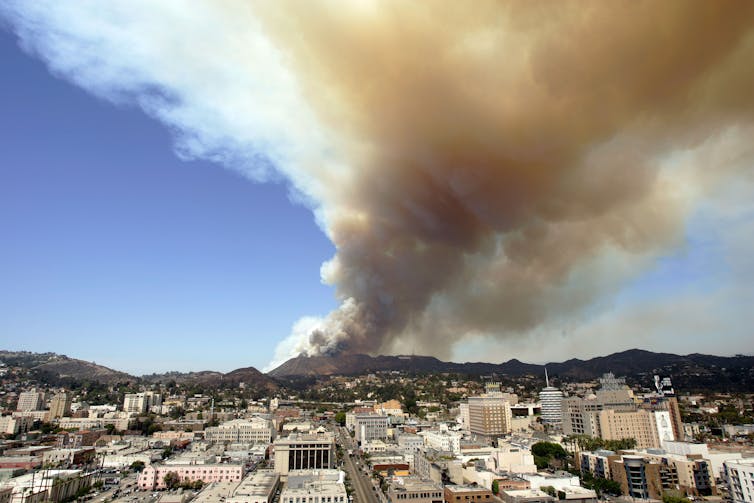 A landscape view across an established neighborhood near the Hollywood hills with a nearby plume of dark smoke rising into the clear blue sky behind it.