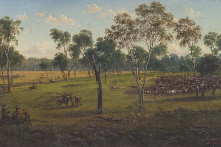 yam daisies and cattle