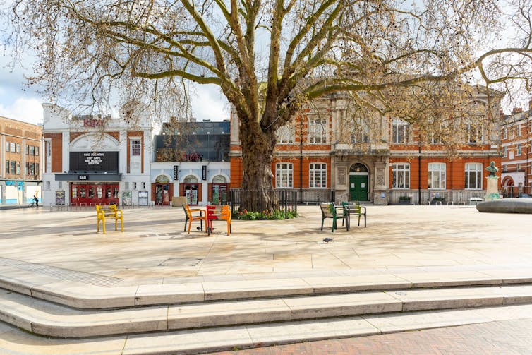 A tree in a public square