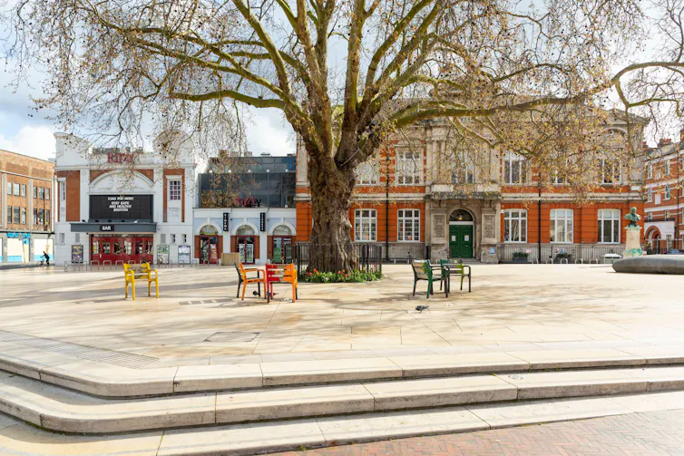A tree in a public square