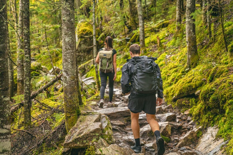 View from behind of a man and woman hiking in a forest