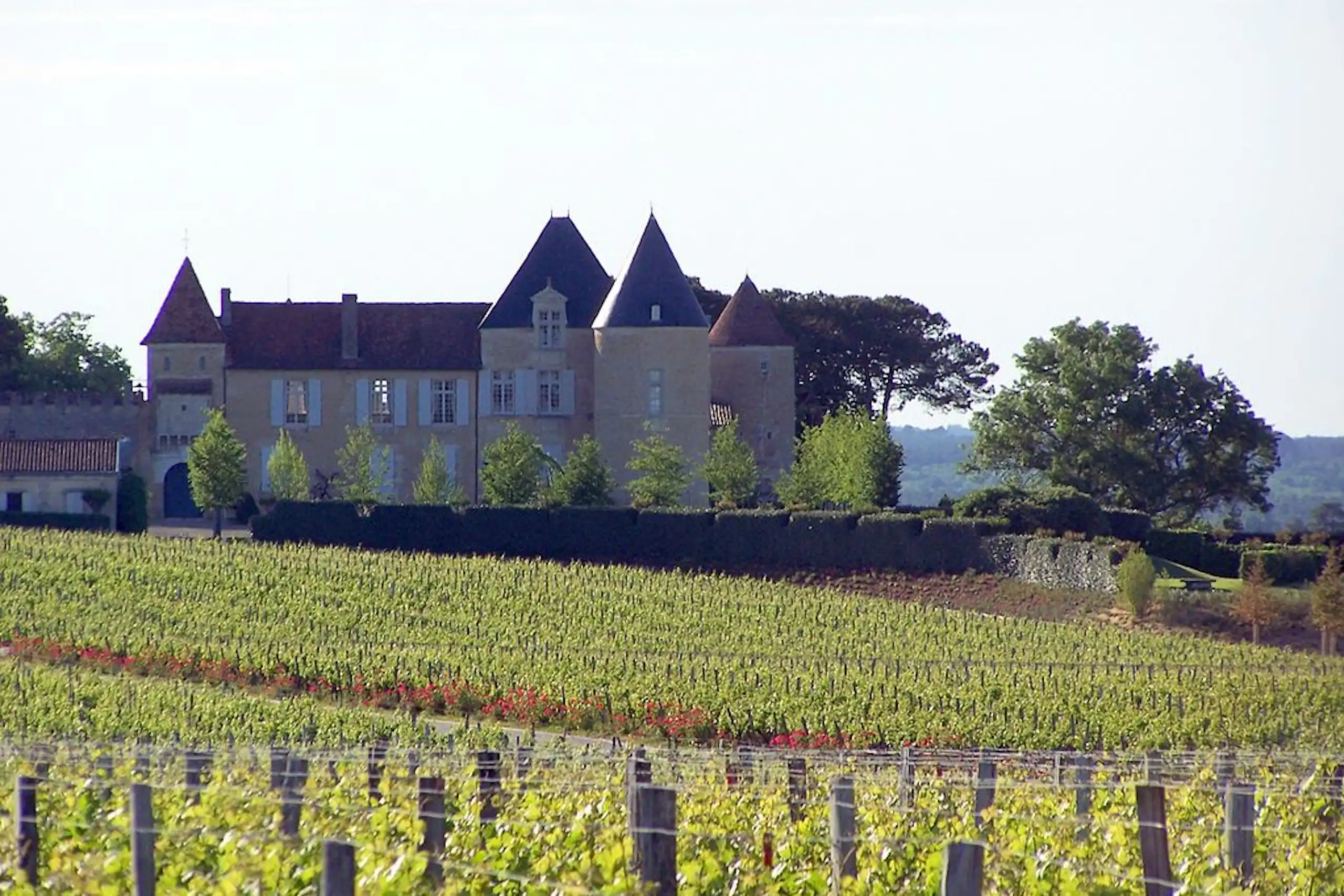 Vue du vignoble d’Yquem