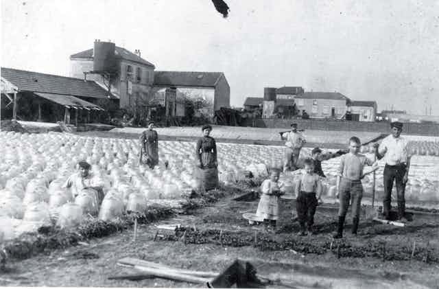 Photo en noir et blanc, montrant une dizaines de personnes (hommes, femmes et enfants), debout en train de poser au milieu des cloches et des cultures, avec les batiments de l'exploitation en arrière-plan