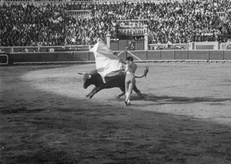 A bullfighter fights a bull in a crowded bullring