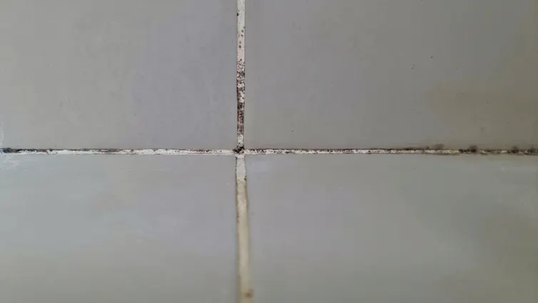 A close-up of white grout between grey tiles with black spots on it