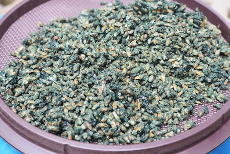 A pile of green grains on a small round tray
