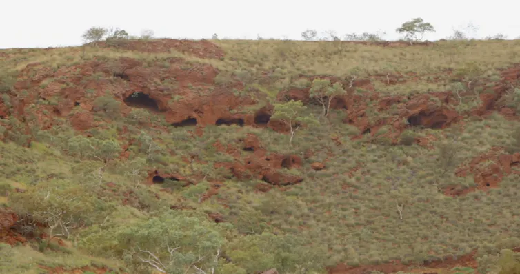 Rock shelters in walls of gorge in arid outback country