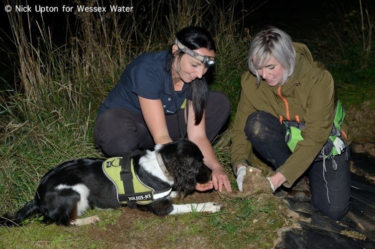 Freya the spaniel and her handler being trained.