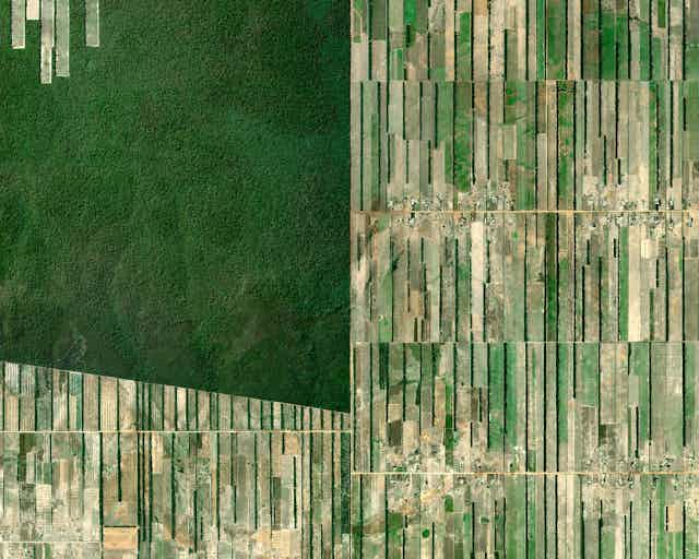 Satellite image of deforested area in Santa Cruz, Bolivia (2021)