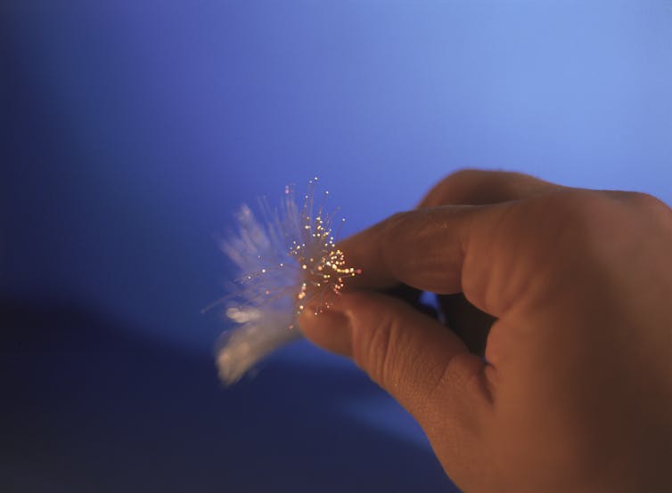 a hand holds a bundle of optical fibers between thumb and first finger