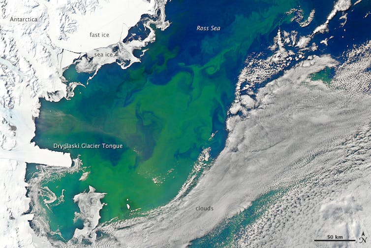A satellite image of a phytoplankton bloom in the Ross Sea, Southern Ocean.
