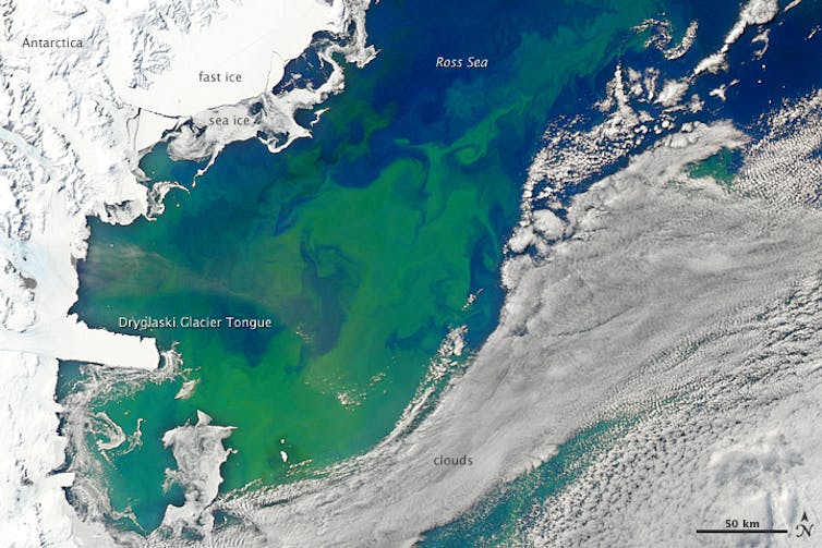Uma imagem de satélite de uma floração de fitoplâncton no Mar de Ross, Oceano Antártico.