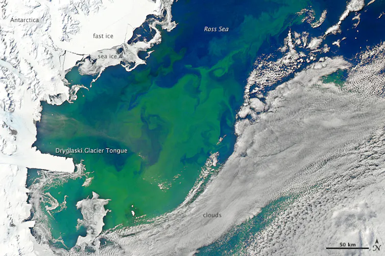 A satellite image of a phytoplankton bloom in the Ross Sea, Southern Ocean.