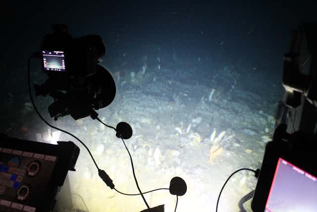 A view of the seafloor from the Deep Rover 2 submersible.