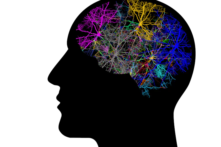 Illustration du cerveau avec des réseaux de neurones en couleurs