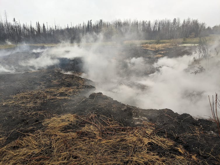 Copious amounts of smoke produced from a smouldering peat fire.