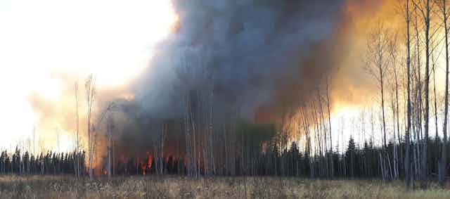 A flaming peatland fire in Alberta, Canada.
