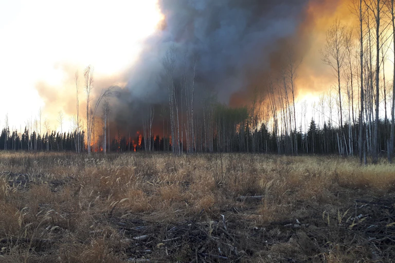 A flaming peatland fire in Alberta, Canada.