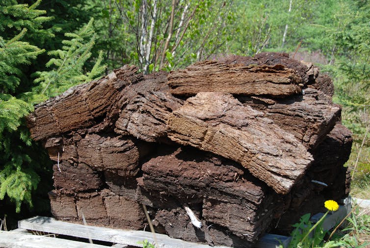 Stacks of dried peat logs to be used for warmth and cooking.